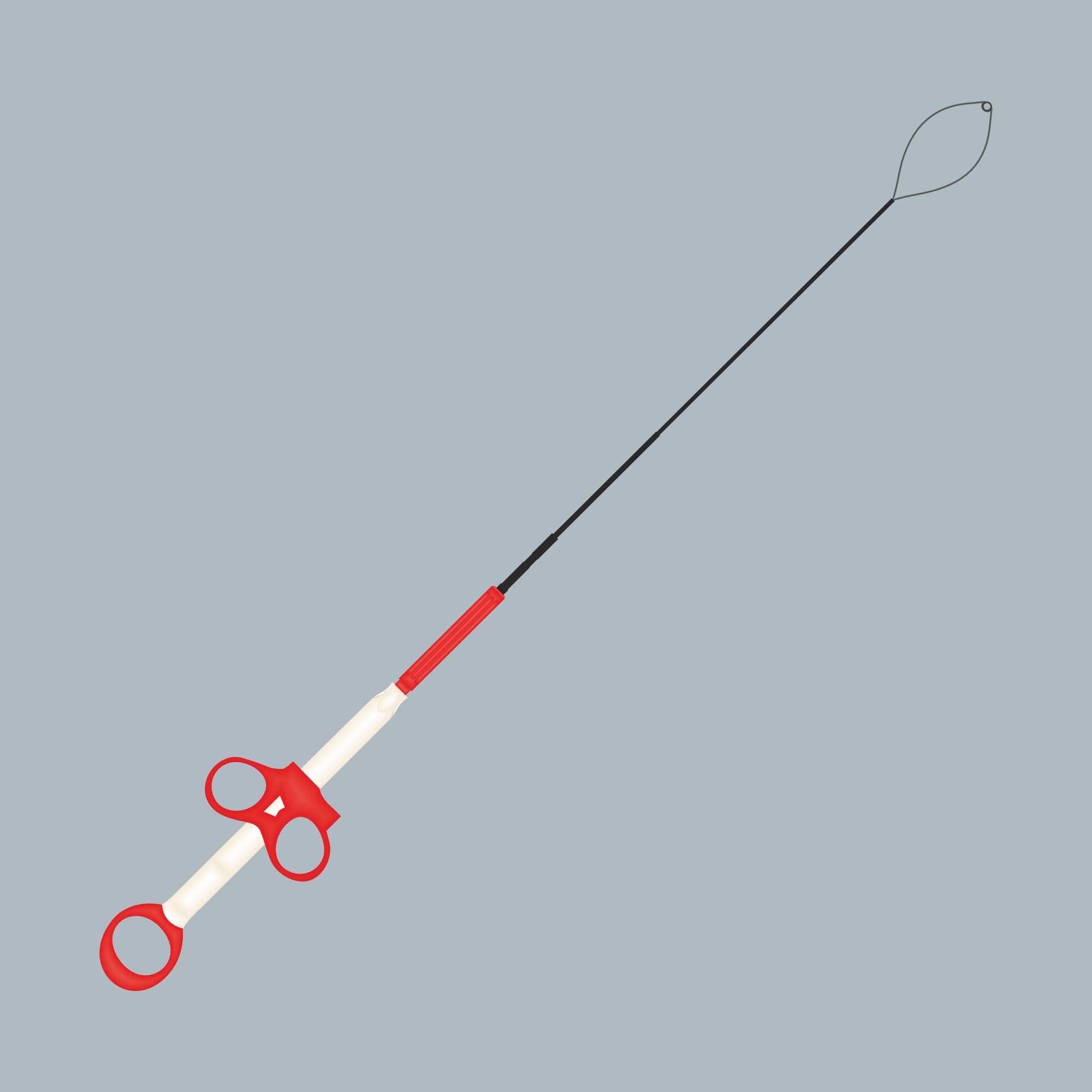Captura Stent Remover Snare — 1