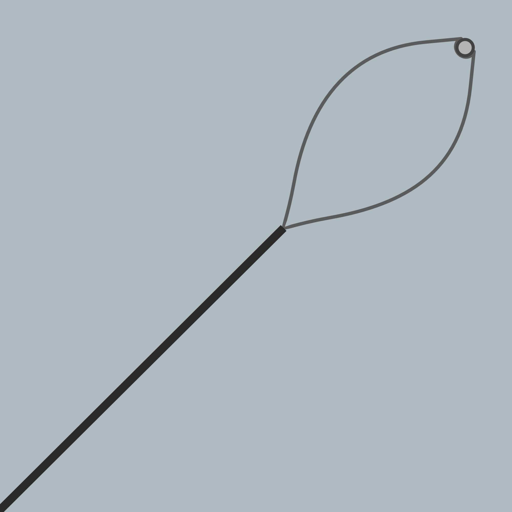 Captura Stent Remover Snare — 2