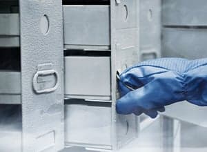 Lexicon® II Ultra-Low Temperature Freezer — 5