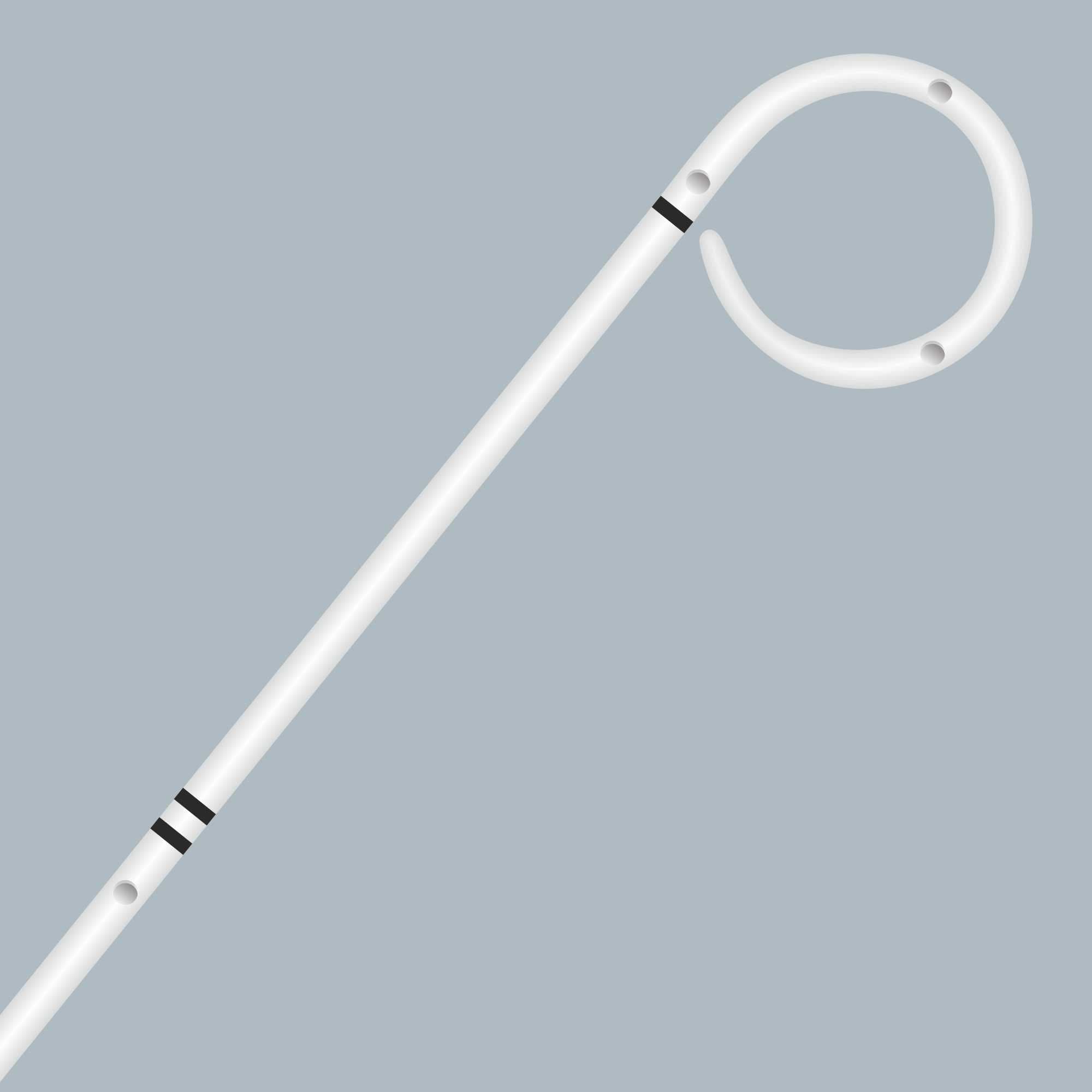 R+ Renal Transplant Stent (Open Tip & Closed Tip) — 4