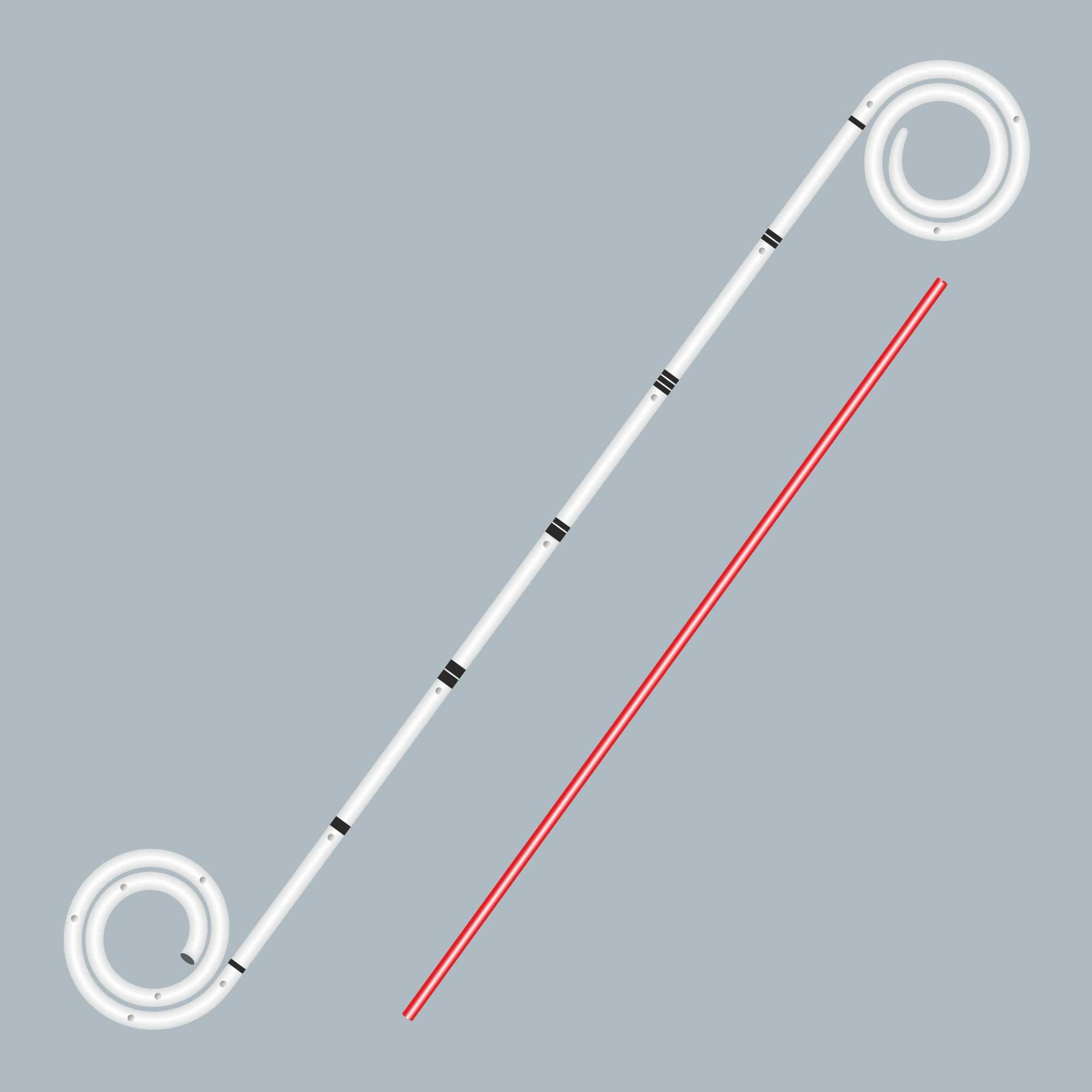 R+ Multiloop Ureteral Stents (Open Tip & Closed Tip) — 1